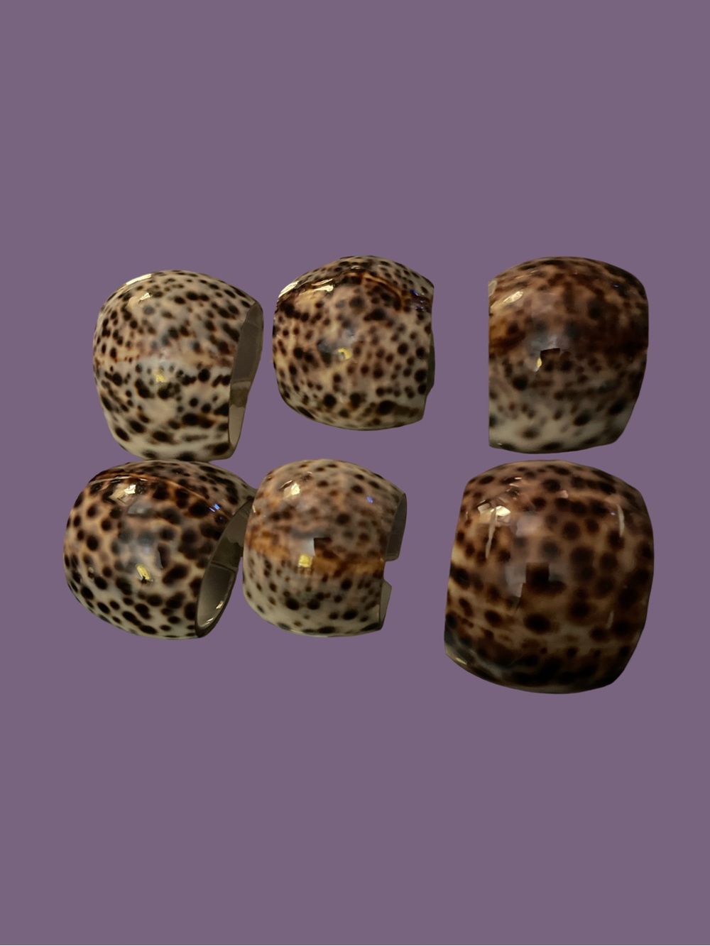Vtg Tiger Cowrie Seashell Napkin Ring Holders Set of  6